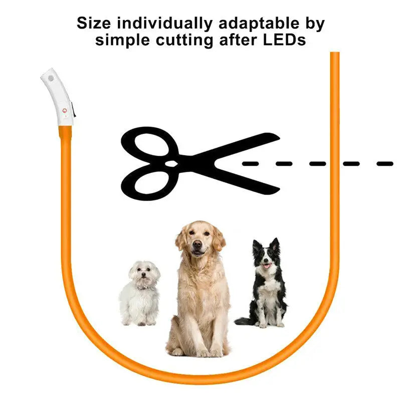 Multicolor LED Pet Dog Collar Cat Puppy Necklace Adjustable USB Rechargeable Cuttable Neck Ring Safety Night Glowing Waterproof